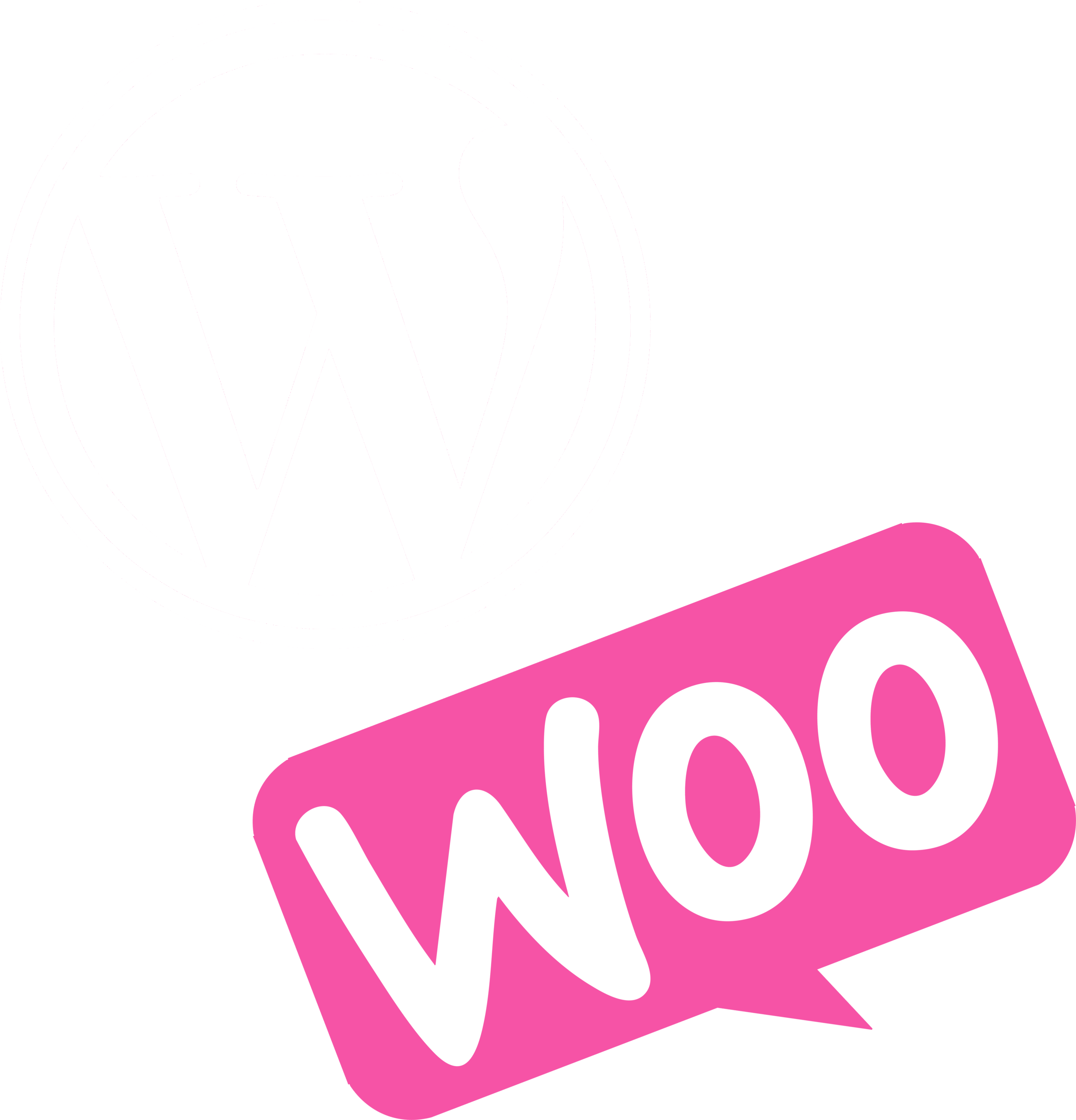 Nexifrance - WordPress Woocommerce